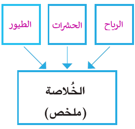 كيف تحدث عملية التلقيح؟